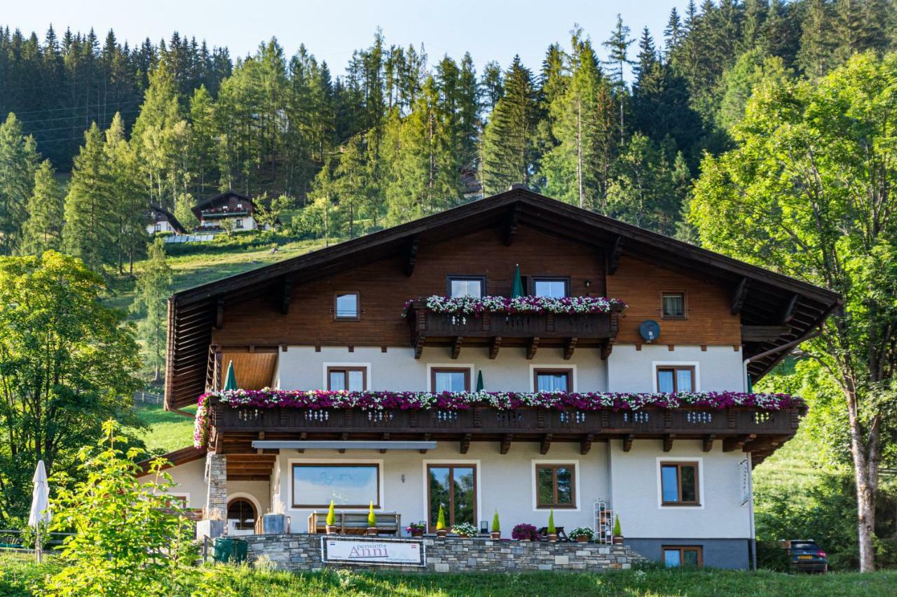 Pension Anni Wagrain Exterior foto